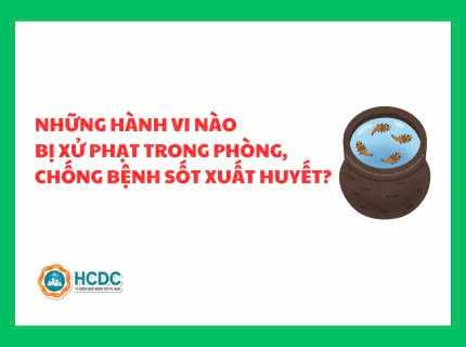 Những hành vi nào bị xử phạt trong phòng, chống bệnh sốt xuất huyết? 
