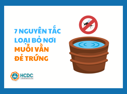 [Info vuông] 7 nguyên tắc loại bỏ nơi muỗi vằn đẻ trứng
