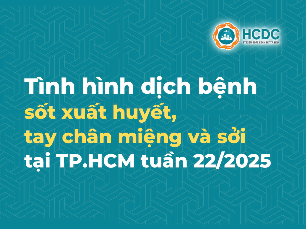 Tình hình dịch bệnh sốt xuất huyết, tay chân miệng và sởi tại TP. Hồ Chí Minh tính đến tuần 22/2025